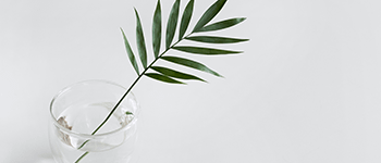 PlantsArtboard-1_3